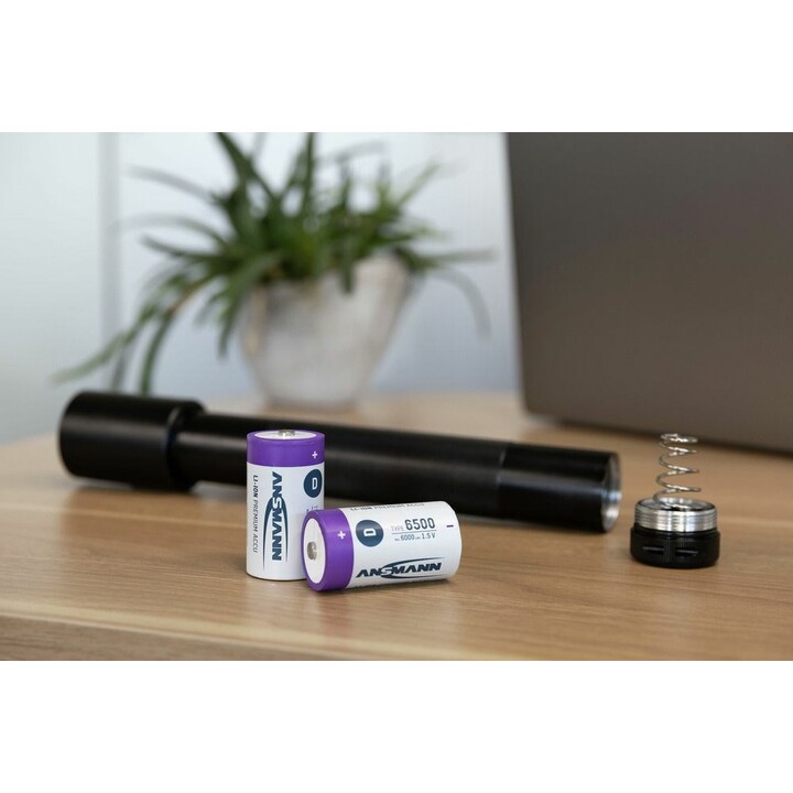 Ansmann 1314-0005 pile domestique Batterie rechargeable D Lithium-Ion (Li-Ion)