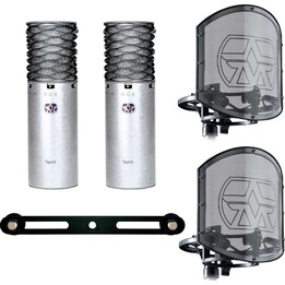 Coppia di microfoni a condensatore stereo Aston Microphones 0504-ACD44-001 Spirit