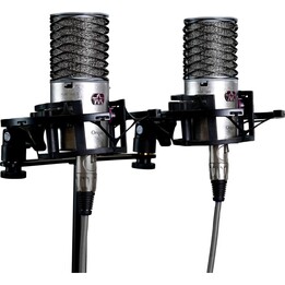 Micrófonos de condensador estéreo Aston Microphones Origin (par)