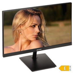 Hikvision DS-D5024F2-AP2 monitor