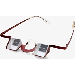 Okulary do asekuracji Y&Y Vertical Classic - bordeaux red
