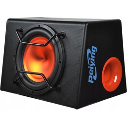 PY-BB300X Active Subwoofer