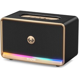 Altavoz inalámbrico Bluetooth W-KING T8II para calle