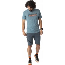 Spodenki turystyczne Dynafit Transalper 2 Light DST Shorts - cinder rozmiar: l