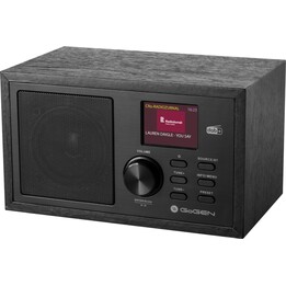 GoGen DAB620BTCB Portable Radio