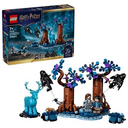 LEGO HARRY POTTER 76475 Forêt interdite - Expecto Patronum