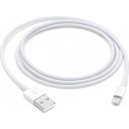 Cavo Apple Lightning-USB da 1 metro