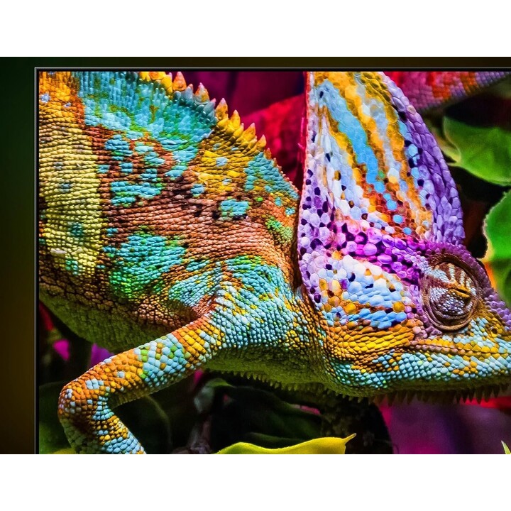 Hisense 65E8S - 65" Mini-LED-Smart-TV der E8-Serie mit Spielemodus und integriertem Subwoofer