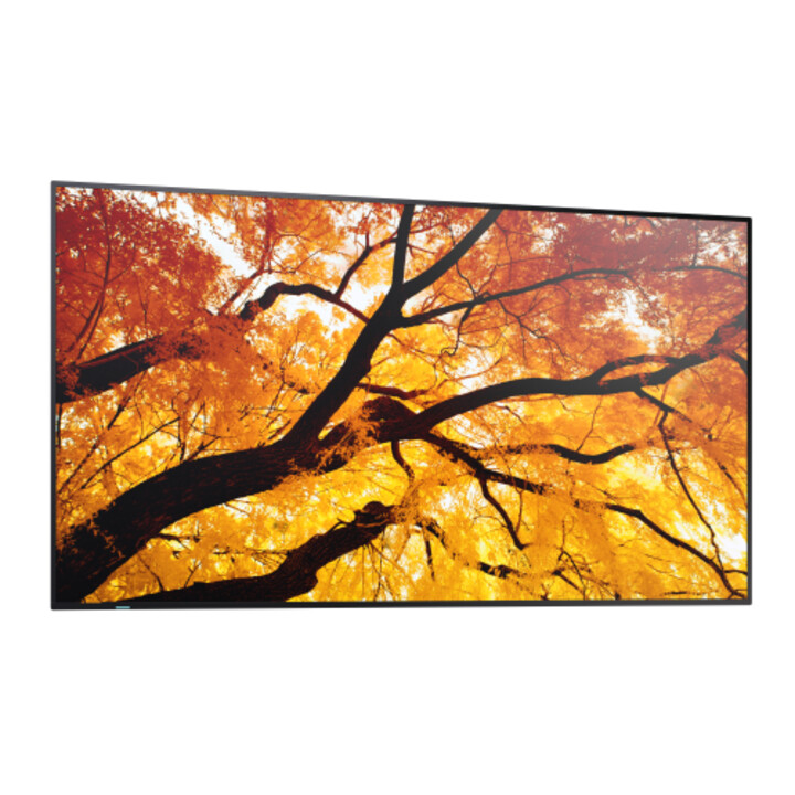 Écran plat Sharp Multisync M432 pour affichage dynamique, 108 cm (42,5") LCD, 550 cd/m², 4K Ultra HD, noir