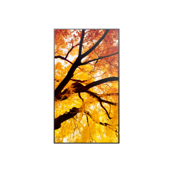 Monitor Sharp Multisync M432 a schermo piatto per digital signage, 108 cm (42,5") LCD, 550 cd/m², 4k Ultra HD, nero.