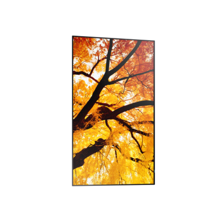 Monitor Sharp Multisync M432 a schermo piatto per digital signage, 108 cm (42,5") LCD, 550 cd/m², 4k Ultra HD, nero.