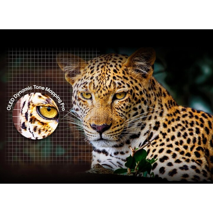 Smart TV LG OLED evo AI C5 48 polegadas 4K 2025