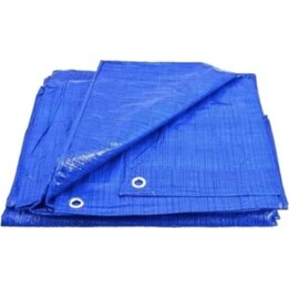 AWTools AW68021 Telone 15x20 m 70 g, blu