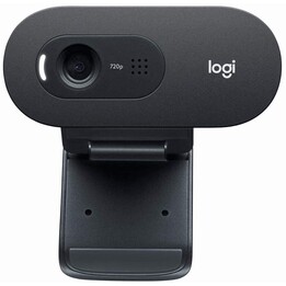 Cámara web Logitech C505e (960-001372)