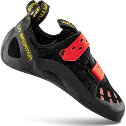 Black poppy tarantula | 45.5