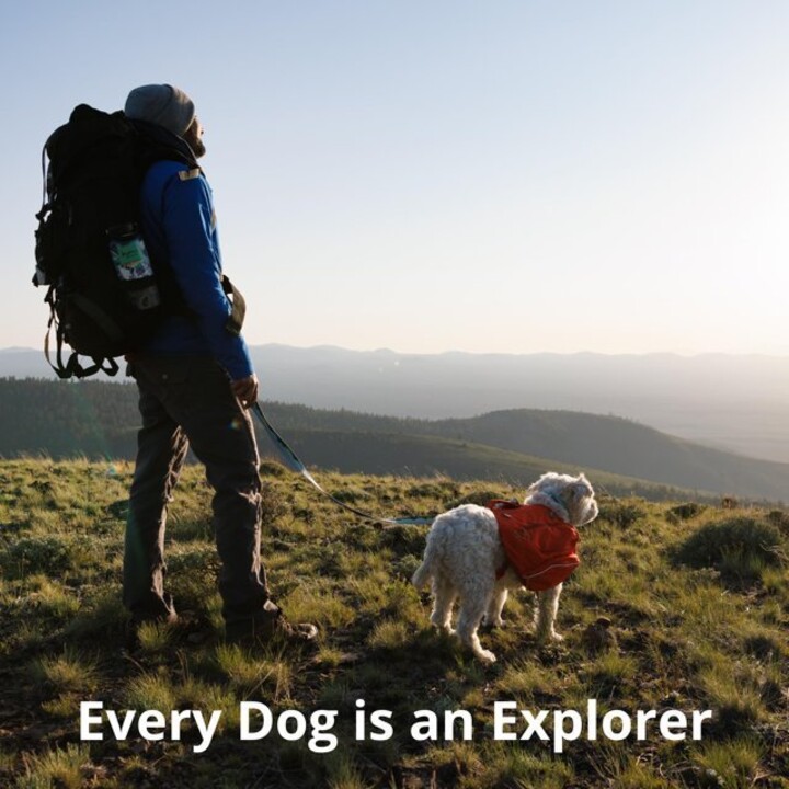 Ruffwear Crag Safety Leash - Alpine Twilight