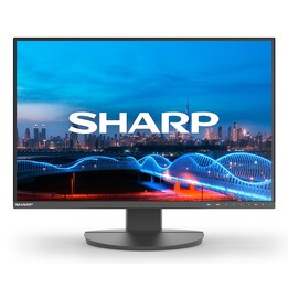 Monitor Sharp MultiSync EA241W Full HD da 61 cm (24")