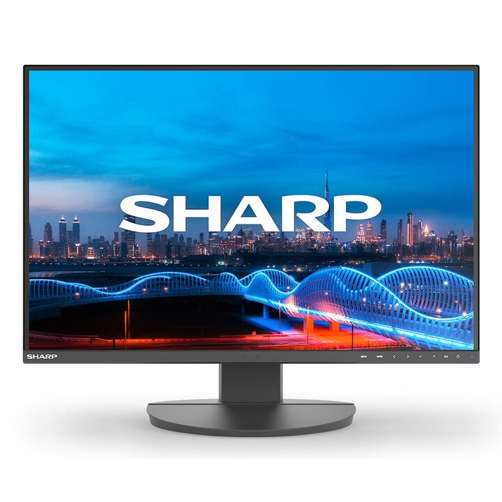 Sharp MultiSync EA241W Full HD Display 61 cm (24")