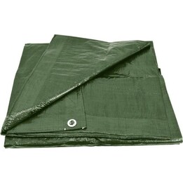 Bâche verte AwTools 90 g, 10 x 20 m
