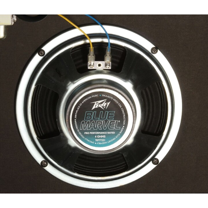 Peavey Electronics Rage 158 - 15W Guitar Amplifier