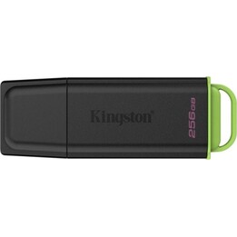 Kingston DataTraveler Exodia 256 GB USB 3.2 Gen 1 USB-Stick, schwarz/grün