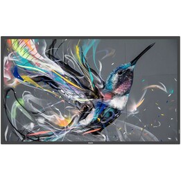 Philips 55BDL3650Q: pantalla profesional 4K de 55 pulgadas diseñada para señalización digital 18/7, con Android 10 y Wi-Fi