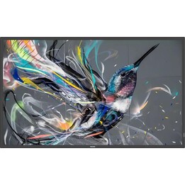 Philips 50BDL3650Q Flat screen for digital signage 127 cm 50" LCD Wifi 400 cd / m² 4K Ultra HD Black