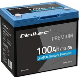 Qoltec 53714 12.8V 100Ah 1280Wh Lithium Iron Phosphate Battery LiFePO4 Bluetooth BMS