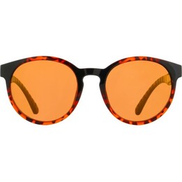 Occhiali da sole polarizzati Red Bull Spect Ever - Nero/Marrone/Rosso