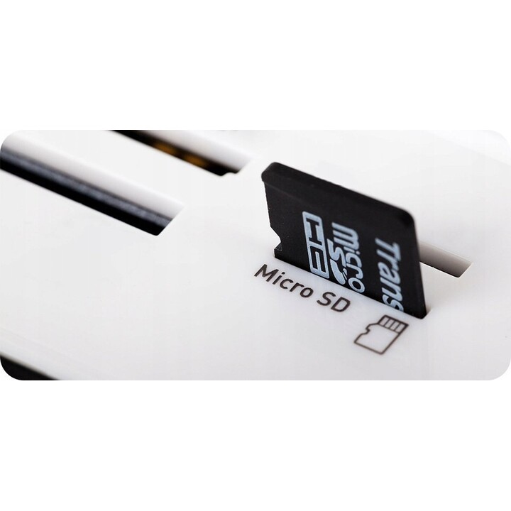 Telecamera IP per esterni Tiandy TC-C382V