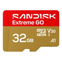 SanDisk Extreme GO 32 Go MicroSDHC UHS-I
