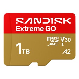 Scheda MicroSDXC SanDisk Extreme GO da 1 TB UHS-I