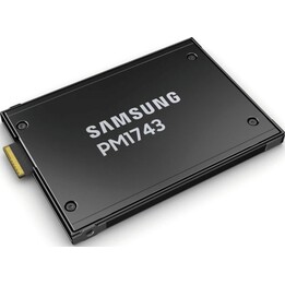 SSD|SAMSUNG|PM1743|3840 GB|PCI Express 5.0|NVMe Sì|2,5"|MZWLO3T8HCLS-00A07