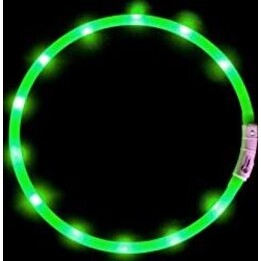 Anicoll LED Collar for Dogs and Cats Green