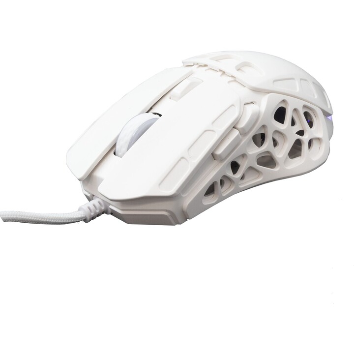 White Shark ECTOR GM-5016 ratón gaming USB RGB blanco