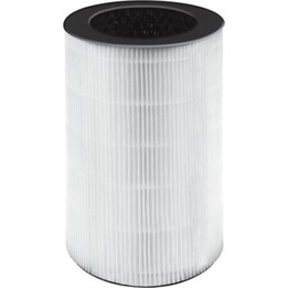 Filtre de remplacement Homedics AP-T20FLR TotalClean de type HEPA