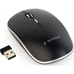 Souris optique sans fil noire