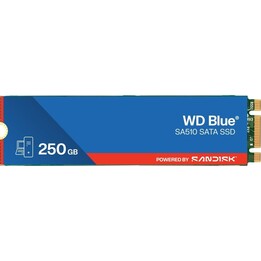 Unità SSD blu da 250 GB SA510 M.2 2280 WDS250G3B0B