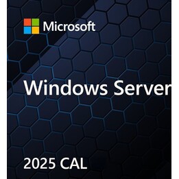 OEM Win Svr CAL 2025 Dispositivo PL 1Clt EP2-25232
