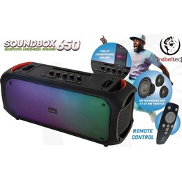 Enceinte Bluetooth FM/USB SoundVox 650