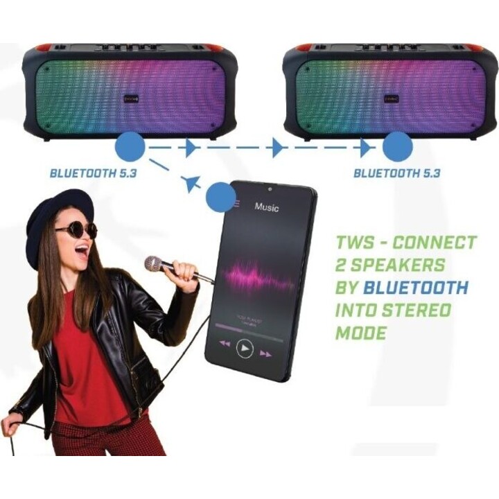 Enceinte Bluetooth FM/USB SoundVox 650