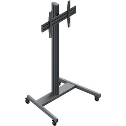 Monitor de pie TRE100 LFD