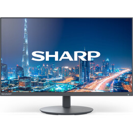 Monitor da 22 pollici MultiSync DD-E224F nero