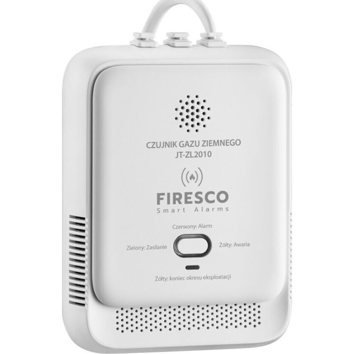Firesco JT-ZL2010 Erdgasmelder weiß