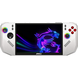 CONSOLE CLAW A8 BZ2EM/24GB/1TB W11 BZ2EM-047NL MSI