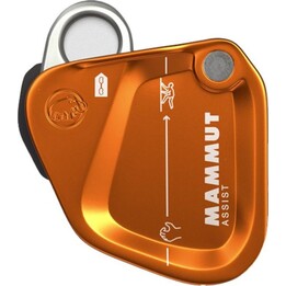 Resistência Mammut Assist Gold Assurance