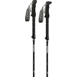 Gabel FR-5 fl lite xts Ruten 0007637900000035