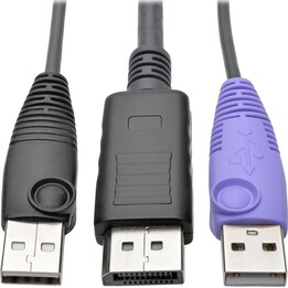 Interface de servidor DisplayPort USB