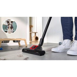 Bosch BGB41PET1 aspiradora 4 L Aspiradora cilíndrica Secar 700 W Bolsa para el polvo