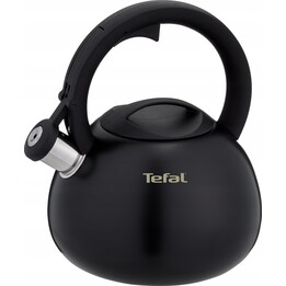 TEFAL N4180410 Non-Electric Kettle